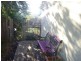8 Bedford Street, Deakin ACT 2600