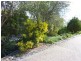 43 Julia Flynn Avenue, Isaacs ACT 2607