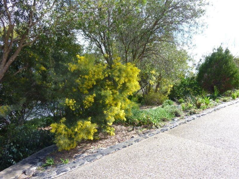 43 Julia Flynn Avenue, Isaacs ACT 2607