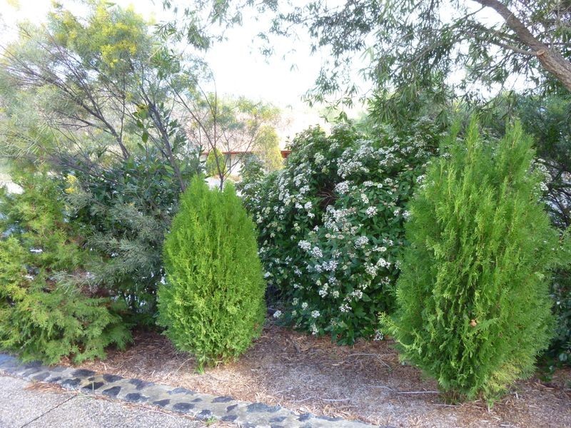 43 Julia Flynn Avenue, Isaacs ACT 2607