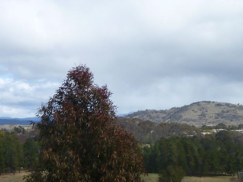 43 Julia Flynn Avenue, Isaacs ACT 2607