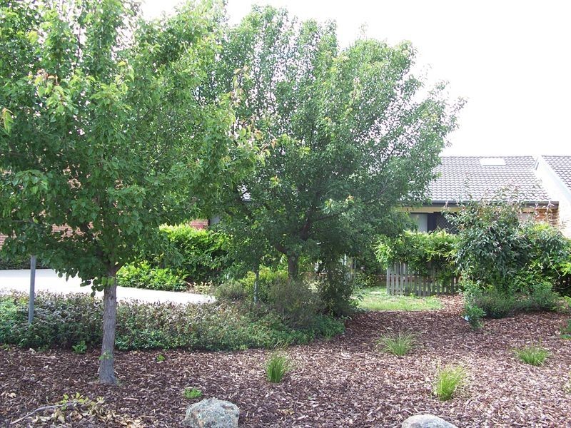 25/60 Paul Coe Crescent, Ngunnawal ACT 2913