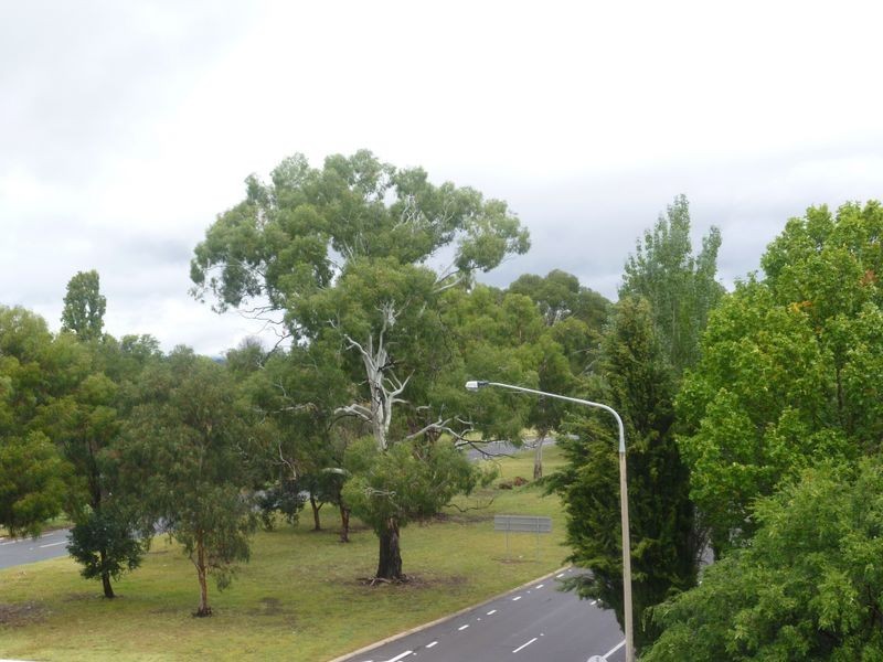 10/29 Cunningham Street, Kingston ACT 2604