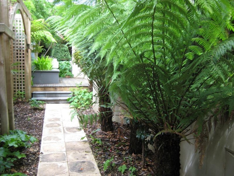 16 Brown Street, Yarralumla ACT 2600