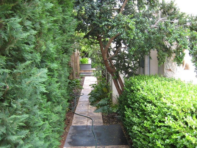 16 Brown Street, Yarralumla ACT 2600