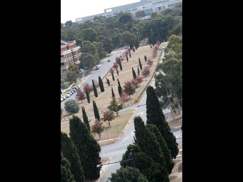 30/1 Sydney Avenue, Barton ACT 2600