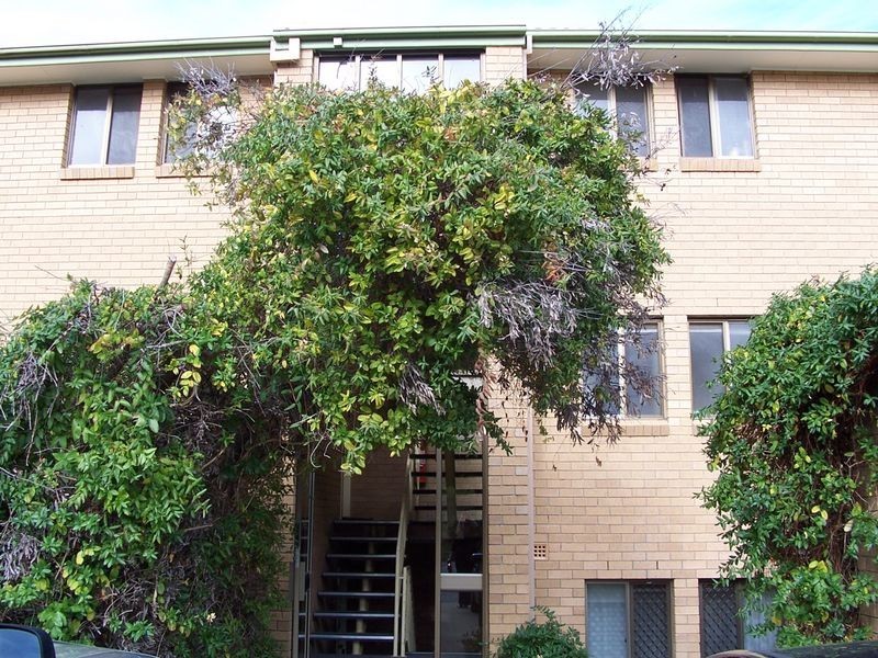 7/12 Wilkins Street, Mawson ACT 2607