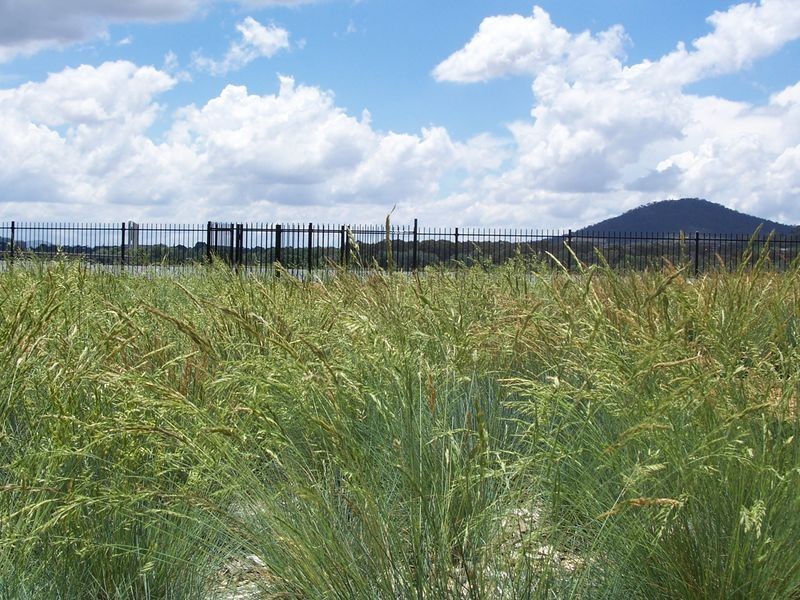 80/13 Eastlake Parade, Kingston ACT 2604