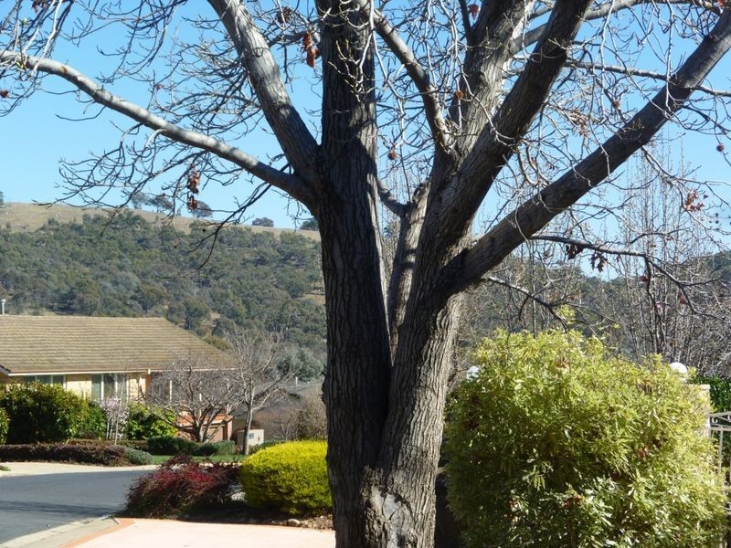 9 Sirius Place, Red Hill ACT 2603