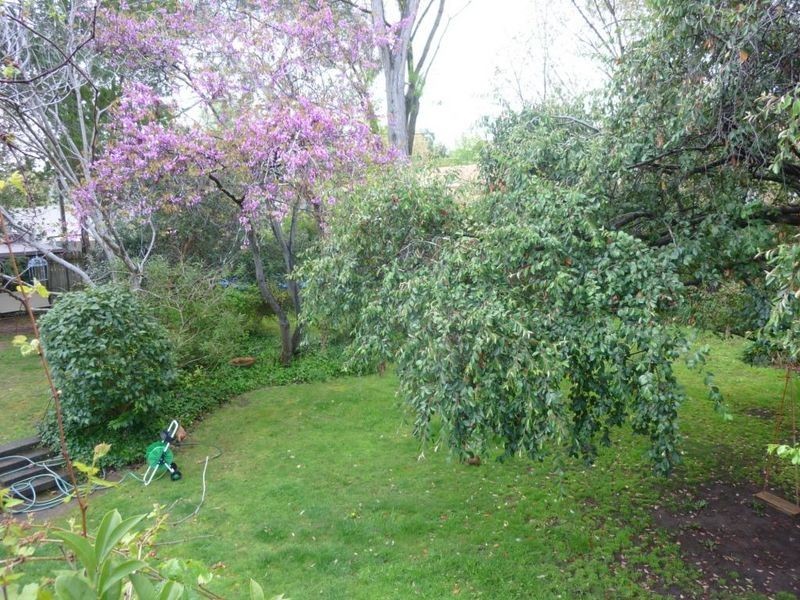 49A National Circuit, Forrest ACT 2603