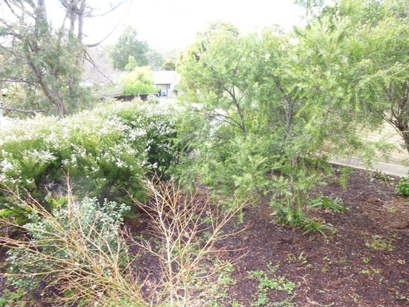 8/12 Teague Street, Cook ACT 2614