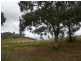 102A Allchin Cct, Kambah ACT 2902