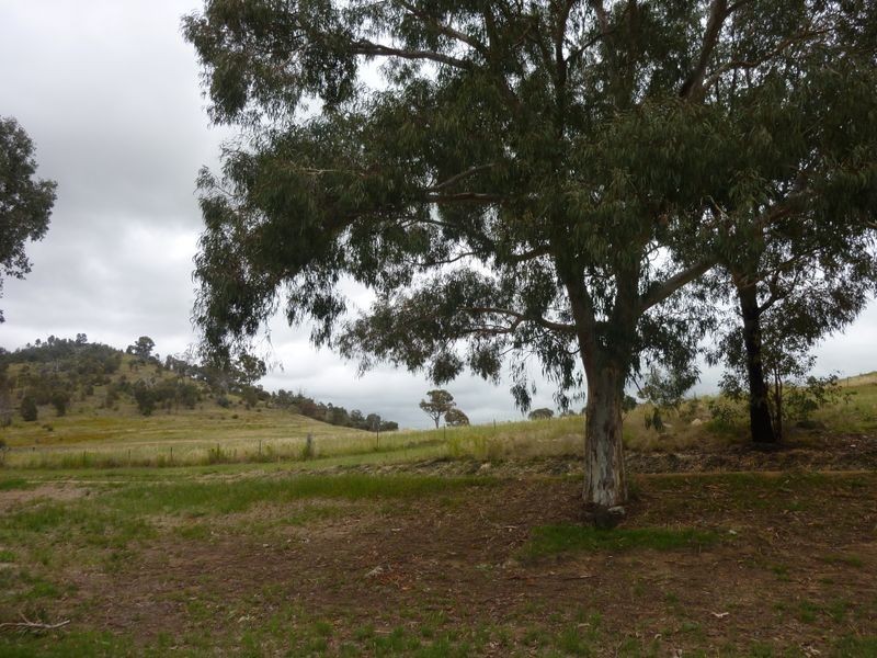 102A Allchin Cct, Kambah ACT 2902