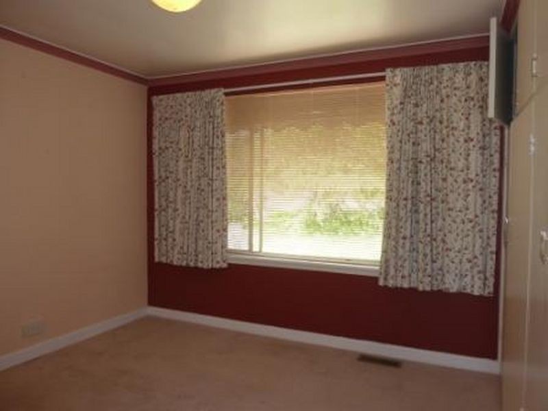 33 Cockburn St, Curtin ACT 2605