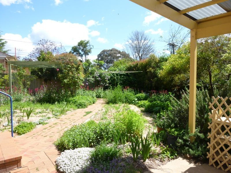 33 Cockburn St, Curtin ACT 2605