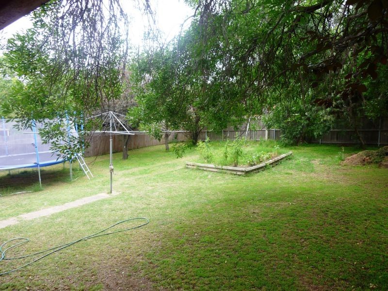 55 Hurley Street, Mawson ACT 2607