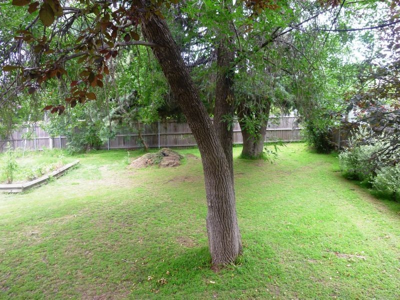 55 Hurley Street, Mawson ACT 2607