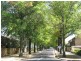 10/19 Howitt Street, Kingston ACT 2604