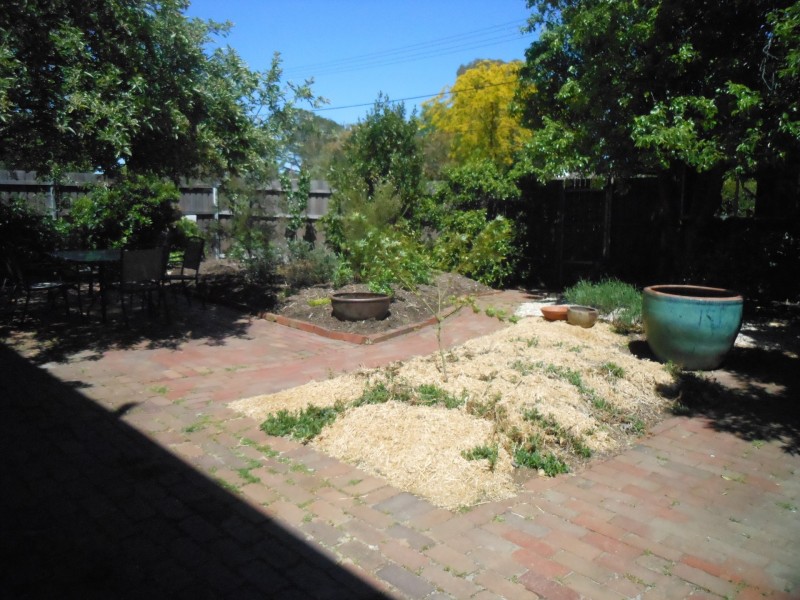 131 Goodwin Street, Lyneham ACT 2602
