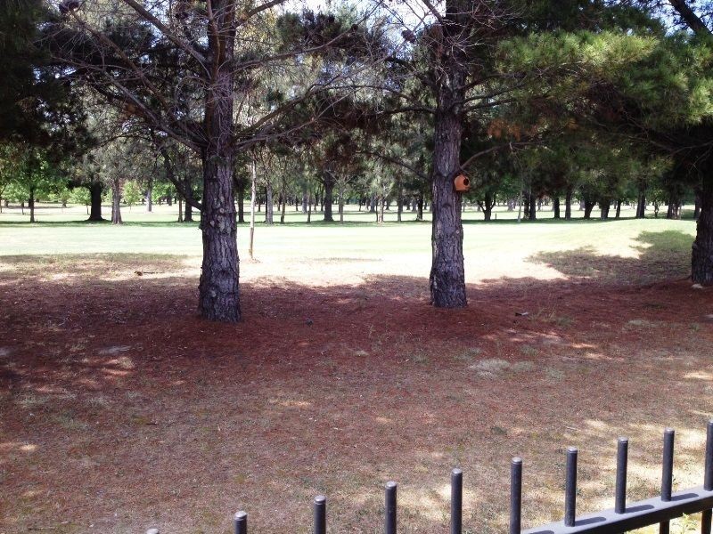 16/50 Ellenborough Street, Lyneham ACT 2602