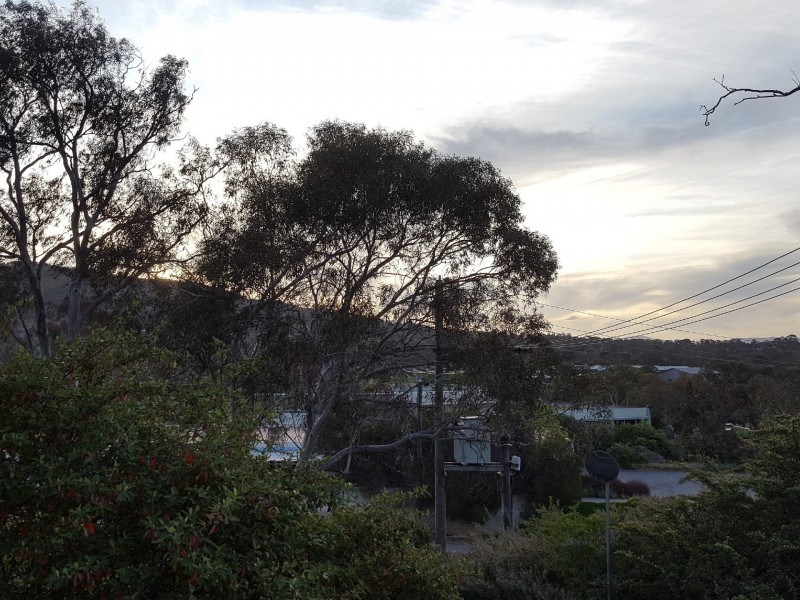 75/4 Wilkins Street, Mawson ACT 2607