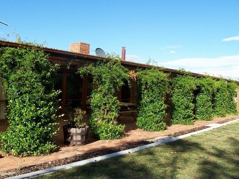 12 Bromby Street, Isaacs ACT 2607