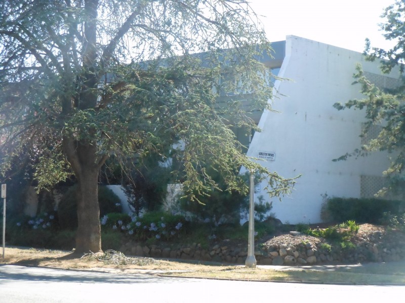 15/8 Giles Steet, Kingston ACT 2604