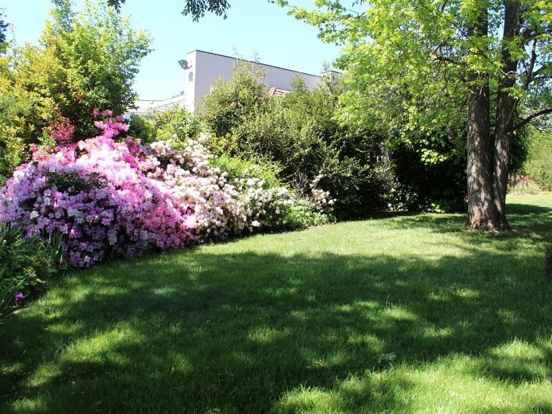 11 Mugga Way, Red Hill ACT 2603