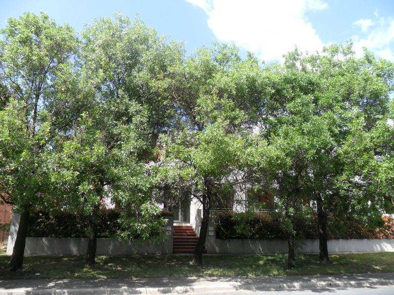 11/41-43 Liardet Street, Weston ACT 2611