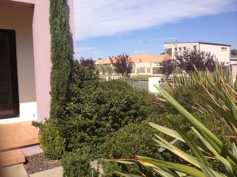 226 Anthony Rolfe Avenue, Gungahlin ACT 2912