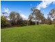 61 McCulloch Street, Curtin ACT 2605