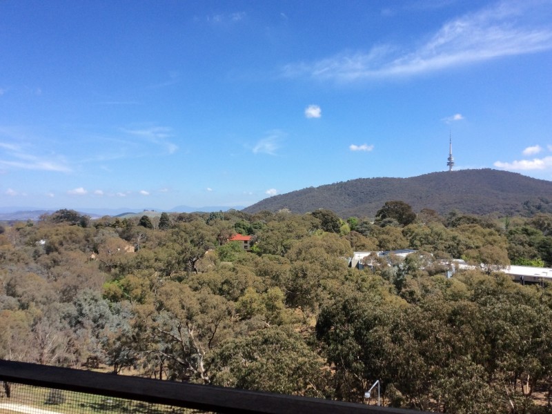 802/25 Edinburgh Avenue, City ACT 2601