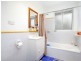 24/3 Waddell Place, Curtin ACT 2605