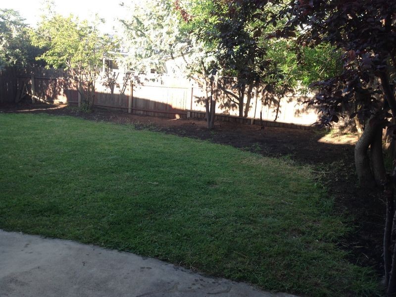 62 Bavin Street, Curtin ACT 2605