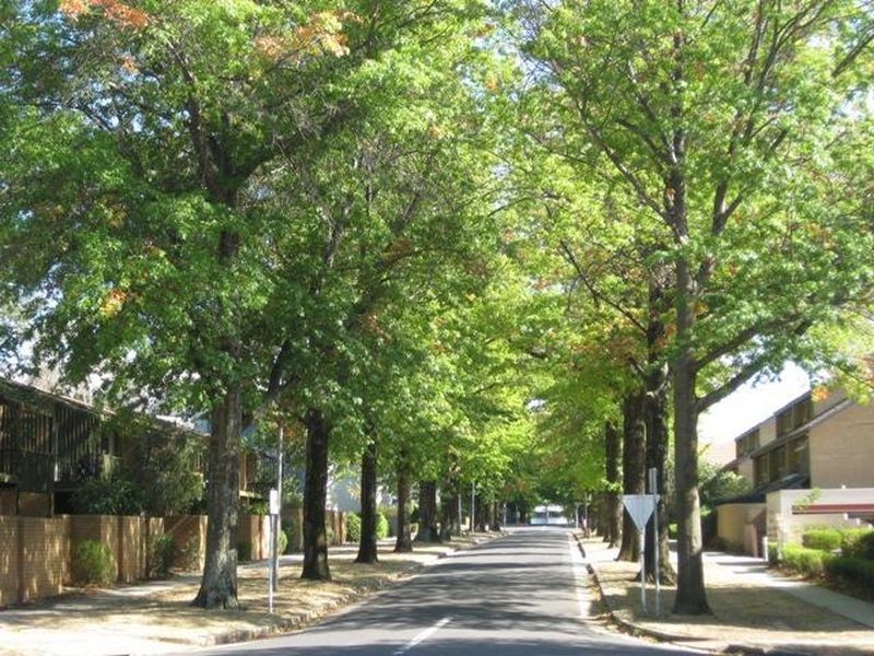 10/19 Howitt Street, Kingston ACT 2604