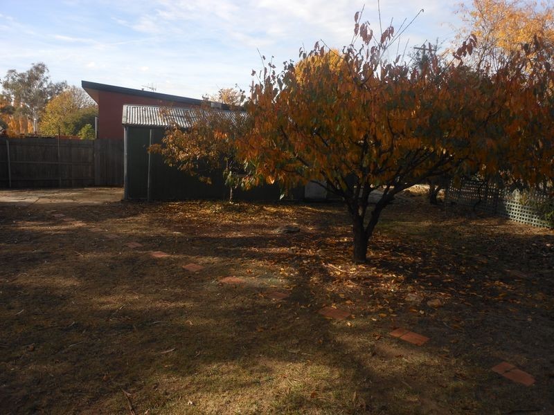 66 Boolimba Street, Narrabundah ACT 2604