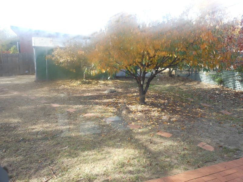 66 Boolimba Street, Narrabundah ACT 2604