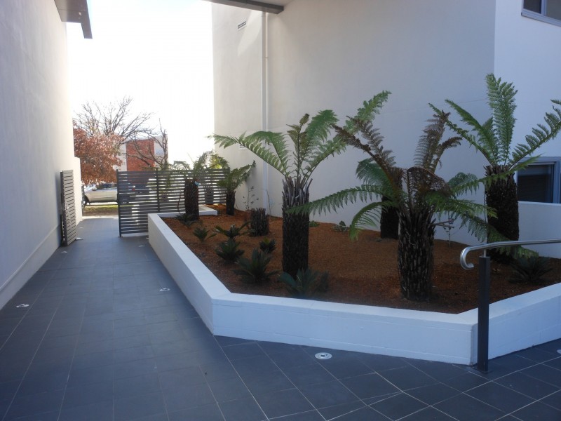 38/14-16 New South Wales Crescent, Forrest ACT 2603