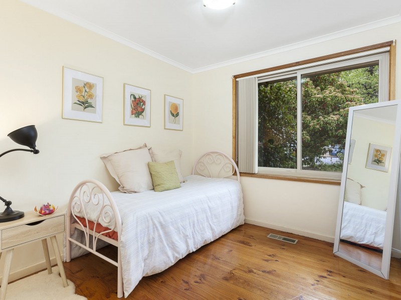 49 Theodore Street, Curtin ACT 2605