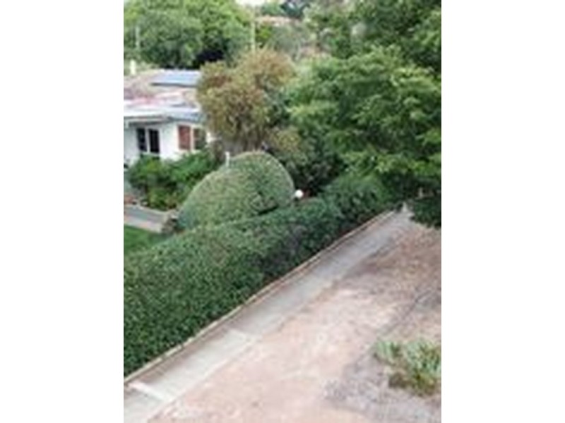 10 Hartog Street, Griffith ACT 2603