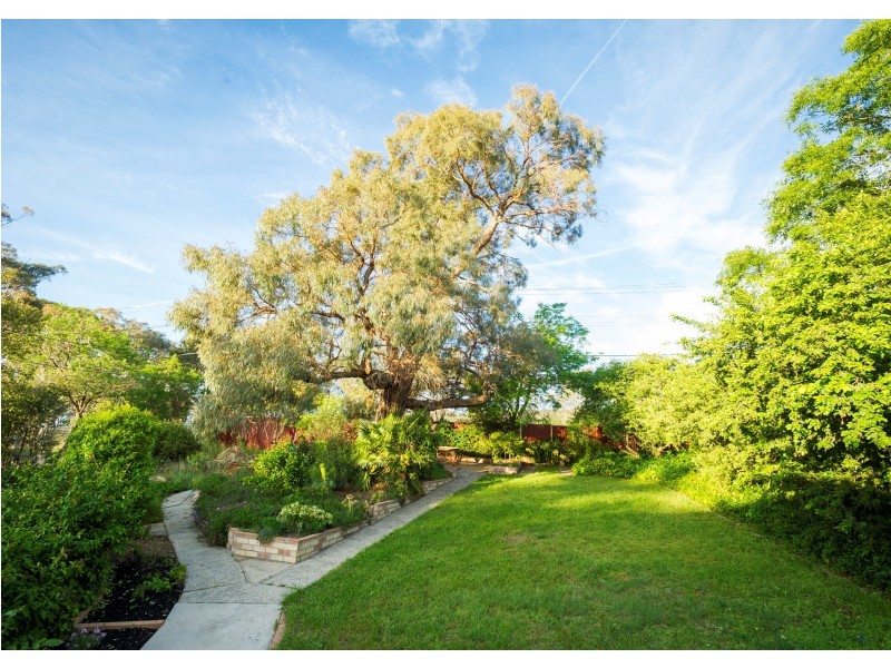 23 Hawkesbury Crescent, Farrer ACT 2607