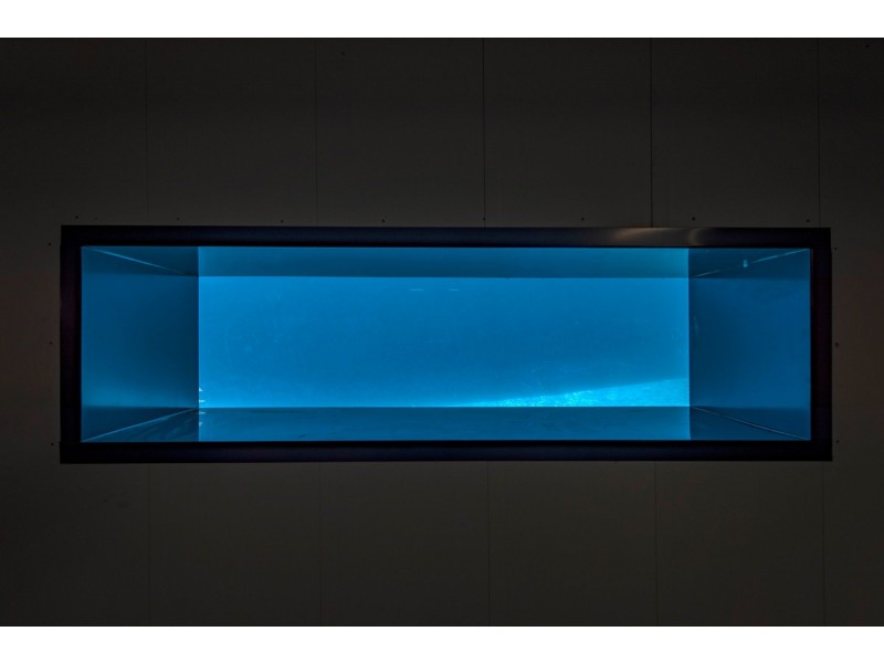 8 Gunn Street, Yarralumla ACT 2600