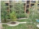 8/17-19 Oxley Street, Griffith ACT 2603