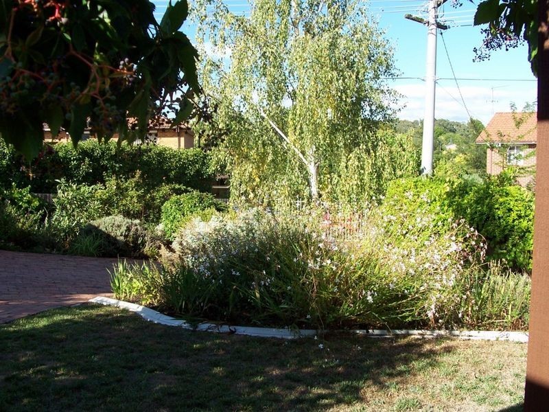 12 Bromby Street, Isaacs ACT 2607