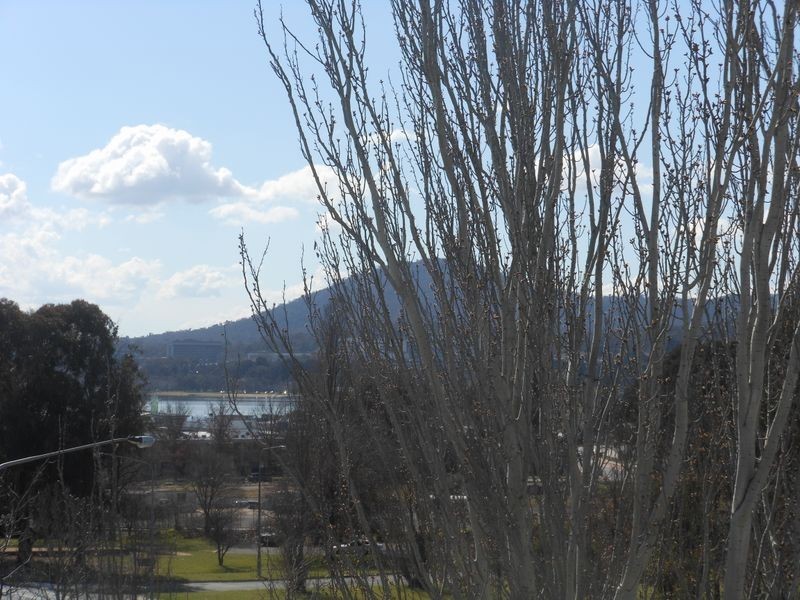 39/76 Leichardt Street, Griffith ACT 2603