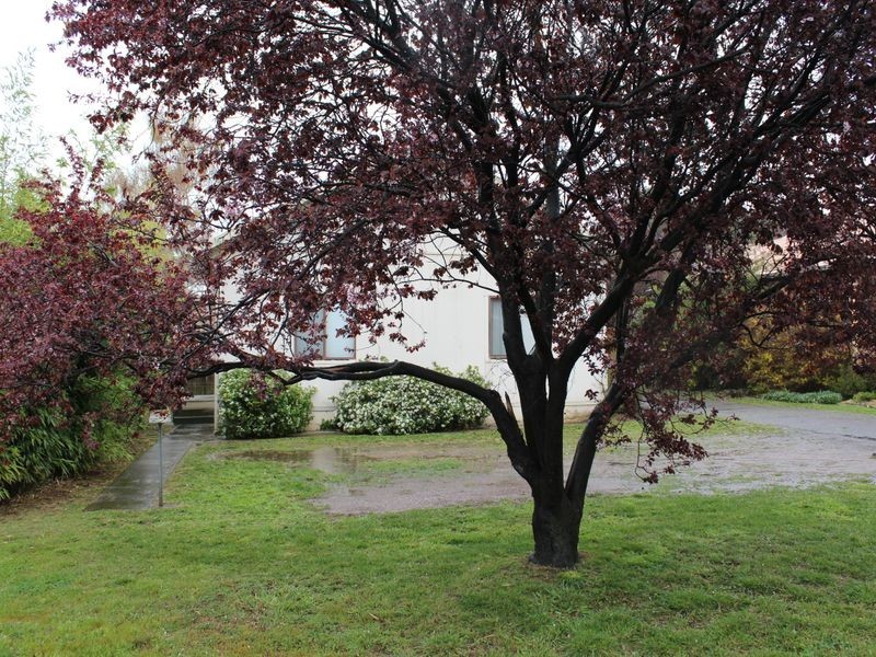 38 Bungonia Street, Narrabundah ACT 2604