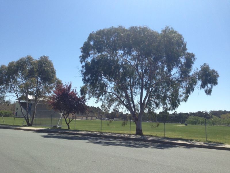 44/12 Albermarle Place “Avalon Court, Phillip ACT 2606