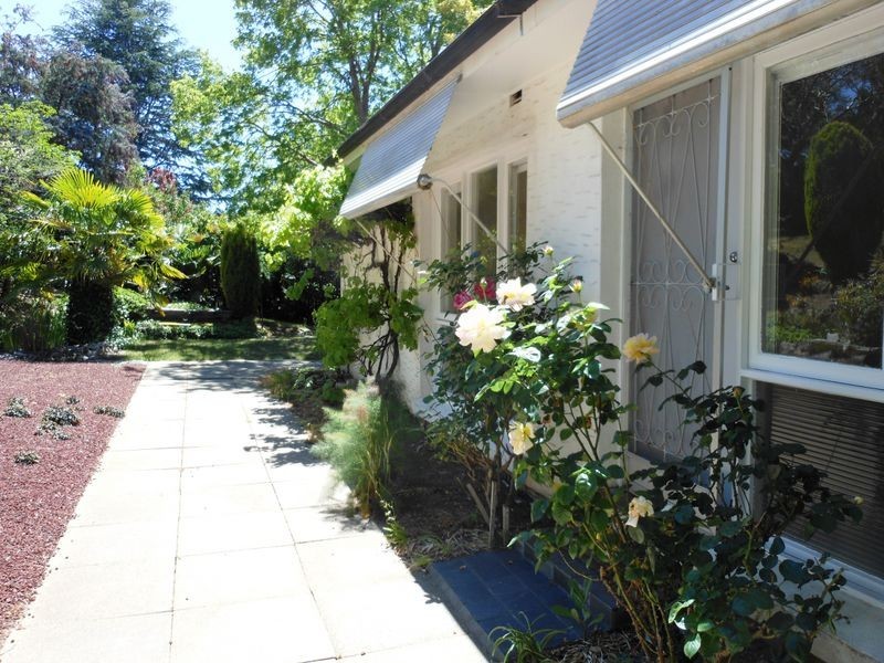 34 Scott Street, Narrabundah ACT 2604