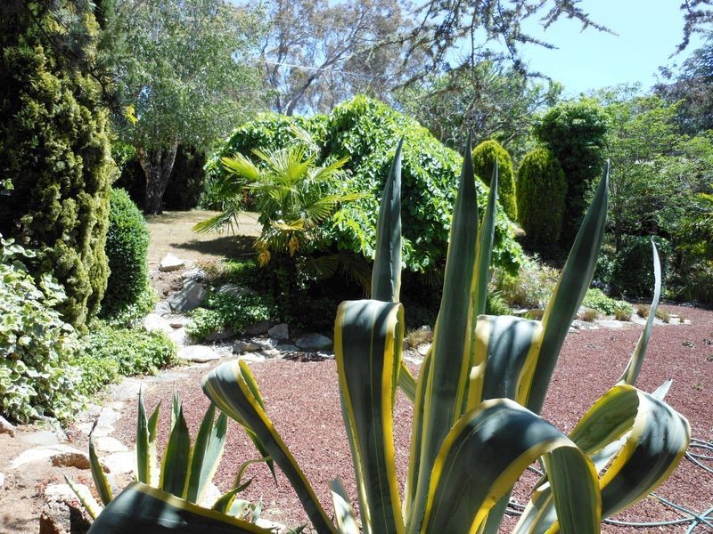 34 Scott Street, Narrabundah ACT 2604