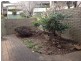 18/28 Black Street, Yarralumla ACT 2600